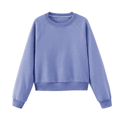 toppies Womens Tracksuits Hooded Sweatshirts 2021 Autumn Winter Fleece Oversize Hoodies Solid Pullovers Jackets Unisex Couple