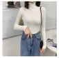 Women Turtleneck Sweaters Autumn Winter Korean Slim Pullover Women Basic Tops Casual Soft Knit Sweater Soft Warm Jumper